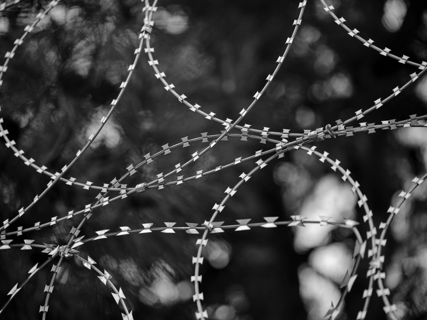 AI Liability: Why Companies Must Own Their Agents' Actions