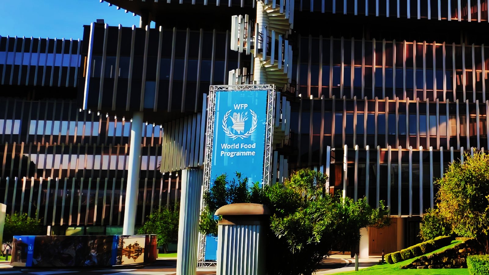 WFP Breach Exposes 600,000 Gaza Households to Targeted Fraud Risk